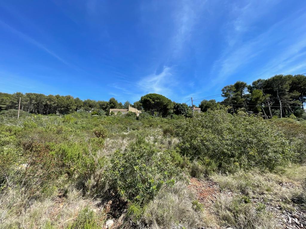 Plot for sale in Cabo san Antonio